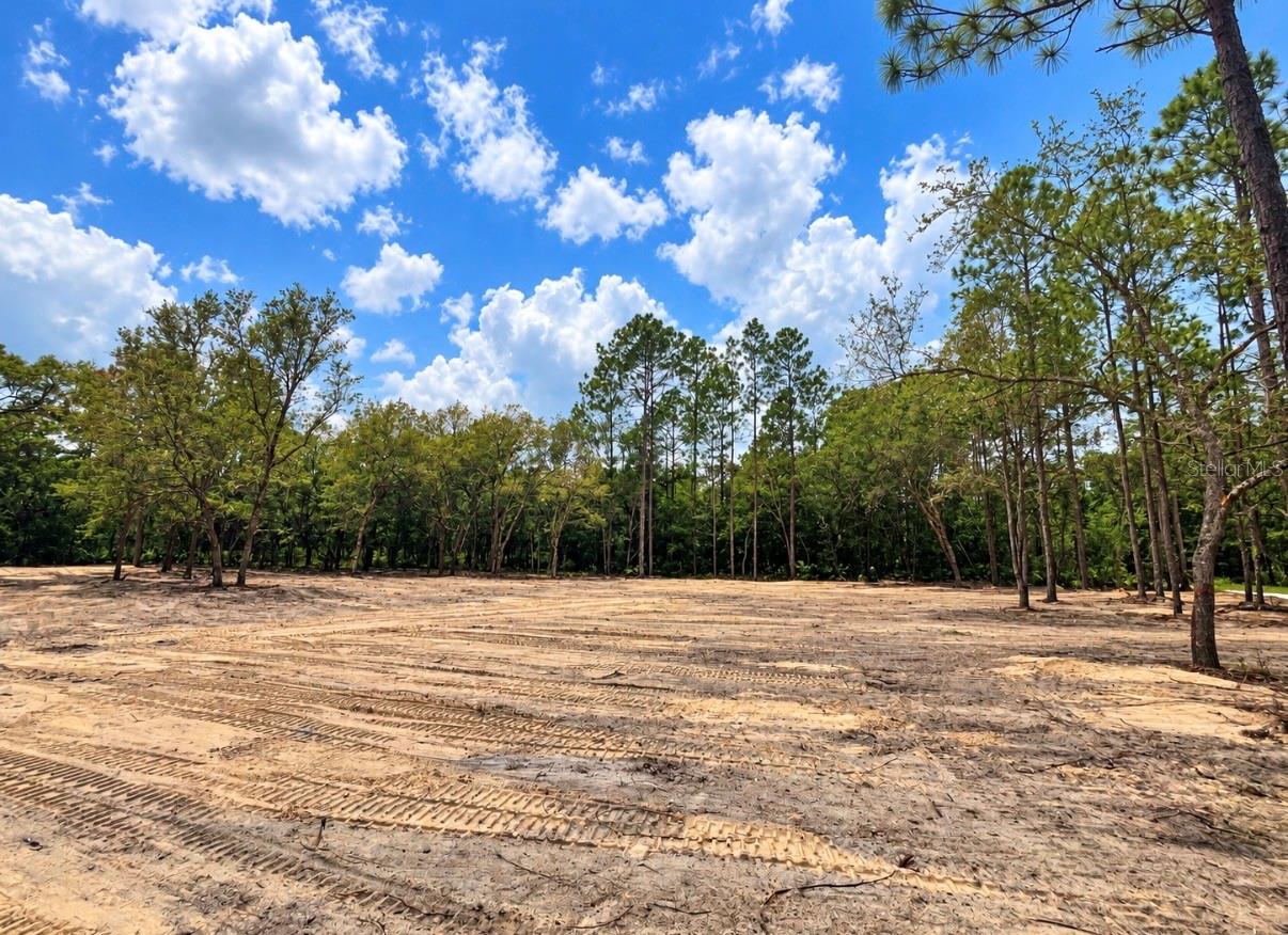 Photo 1 of Land for sale at Tbd Ne 88th Lane, Bronson, FL 32621 | MLS# GC543276 | Listing updated on 2026-09-06