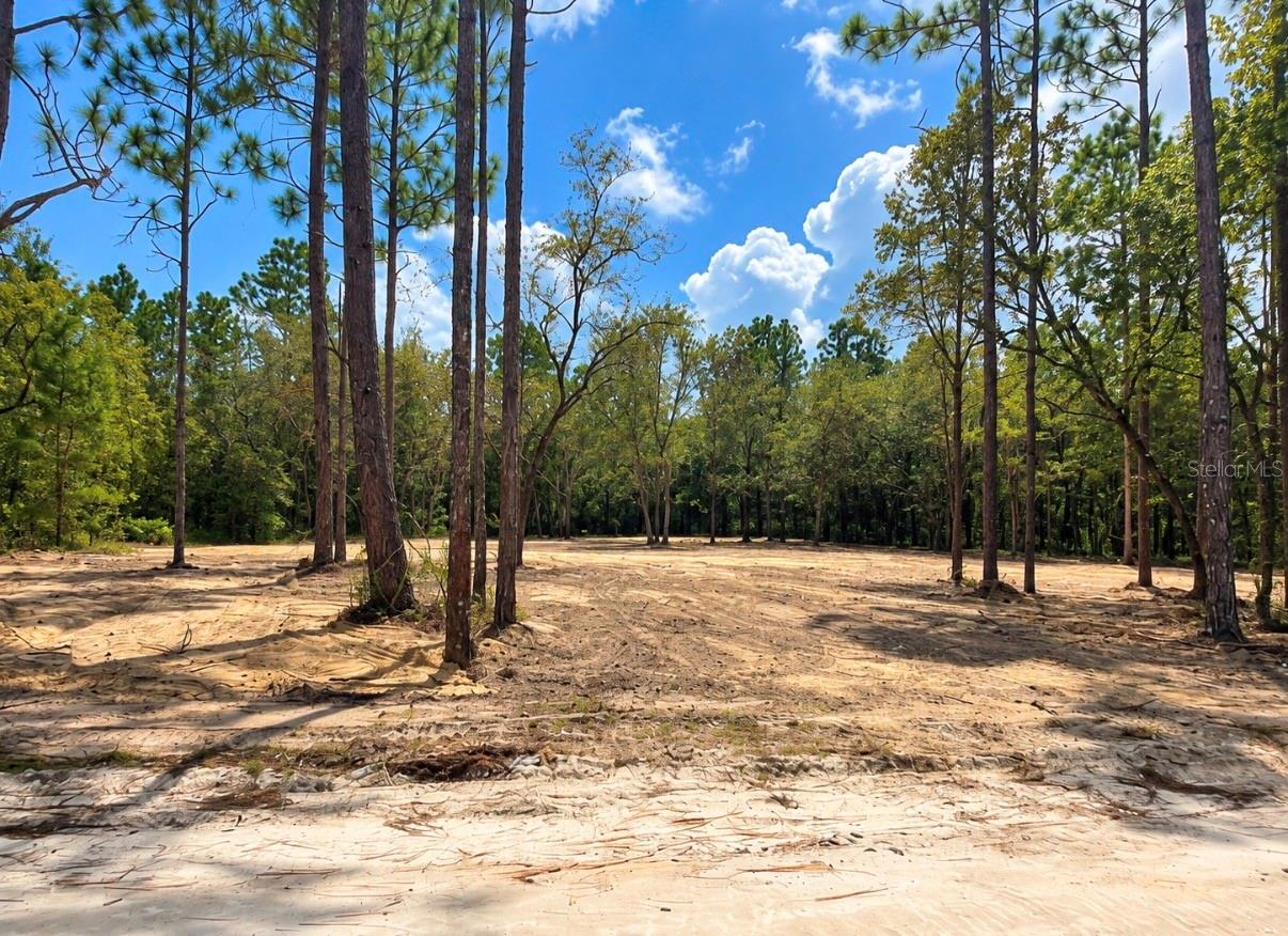 Photo 2 of Land for sale at Tbd Ne 88th Lane, Bronson, FL 32621 | MLS# GC543276 | Listing updated on 2026-09-06