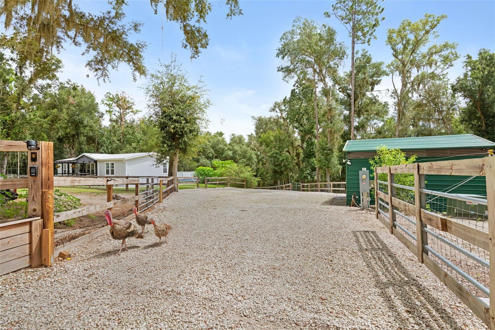 Photo 5 of Manufactured home for sale at 1164 Katie Wood Trl, Brooksville, FL 34602 | MLS# TB8545928 | Listing updated on 2026-09-05