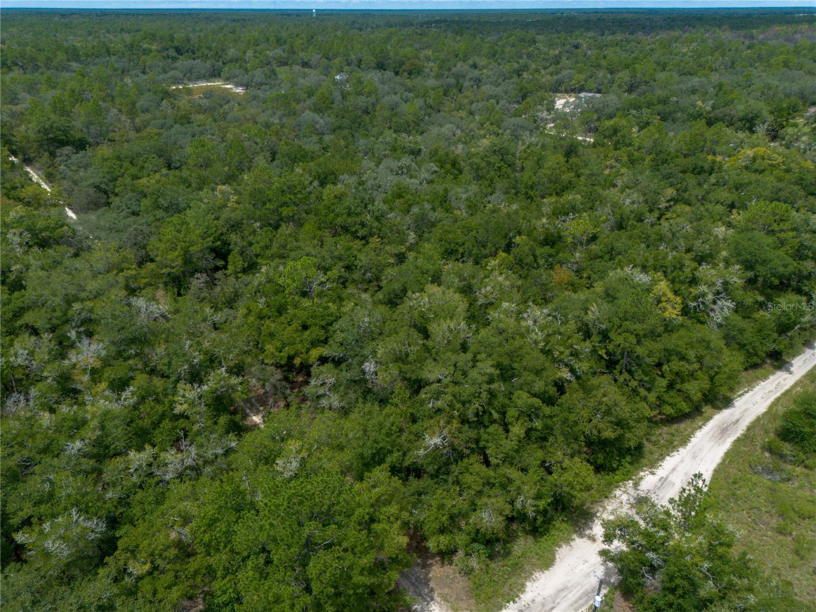 Photo 5 of Land for sale at 0 NE 81st Street, Bronson, FL 32621 | MLS# GC543292 | Listing updated on 2026-09-05
