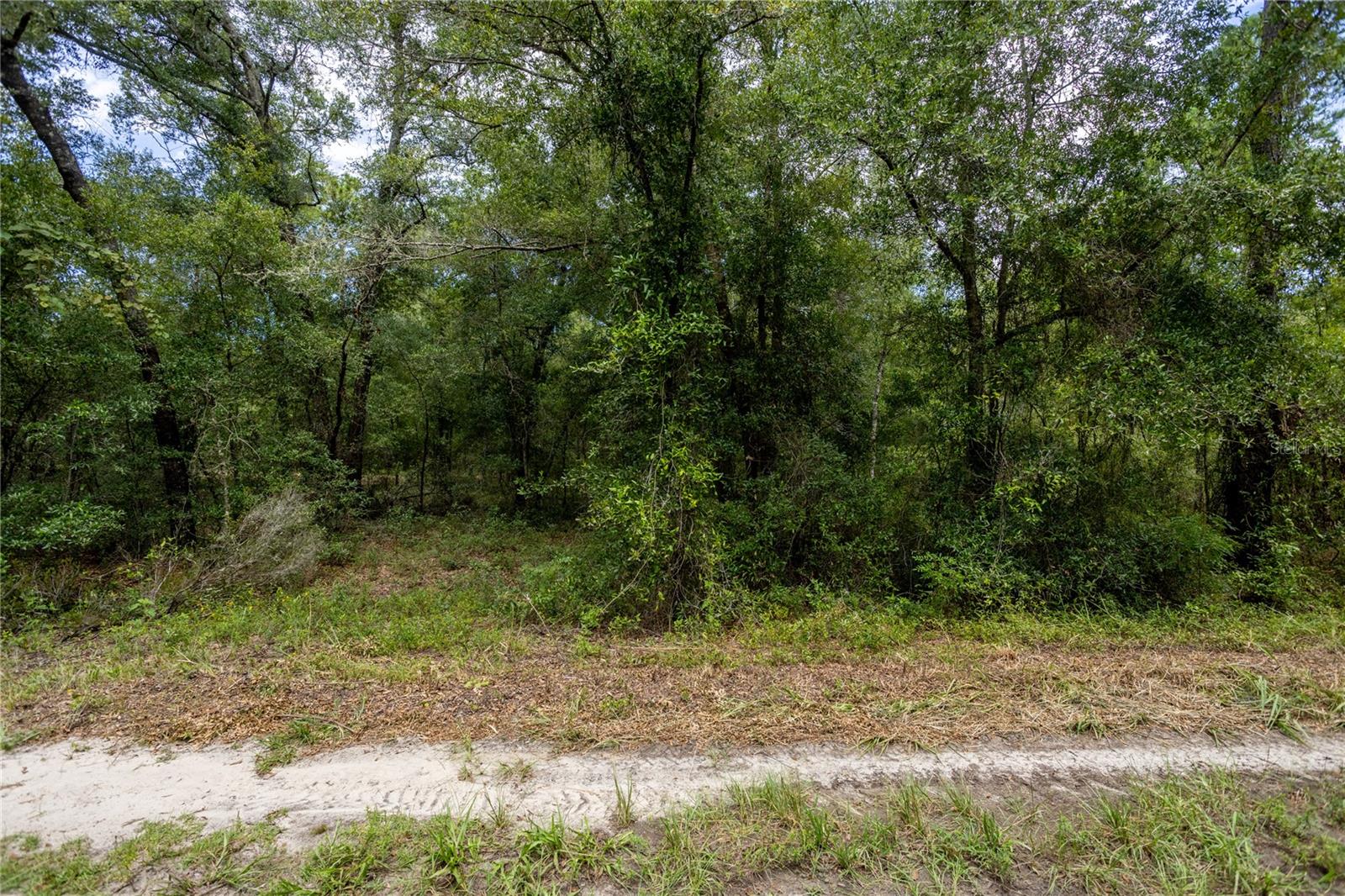 Photo 4 of Land for sale at 0 NE 81st Street, Bronson, FL 32621 | MLS# GC543292 | Listing updated on 2026-09-05