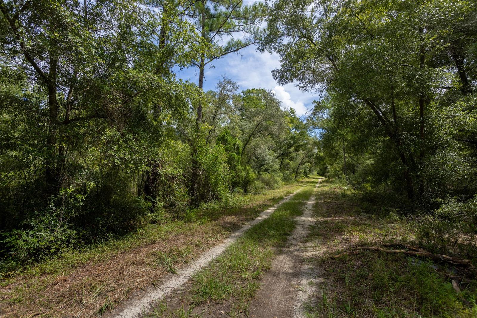 Photo 2 of Land for sale at 0 Ne 81st Street, Bronson, FL 32621 | MLS# GC543292 | Listing updated on 2026-09-05