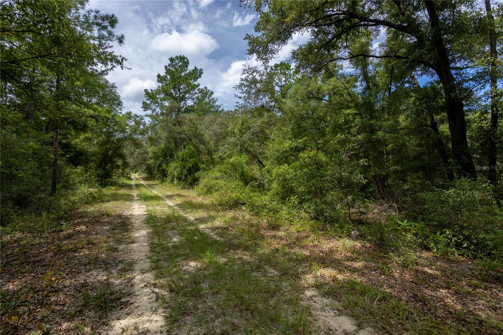 Photo 1 of Land for sale at 0 Ne 81st Street, Bronson, FL 32621 | MLS# GC543292 | Listing updated on 2026-09-05