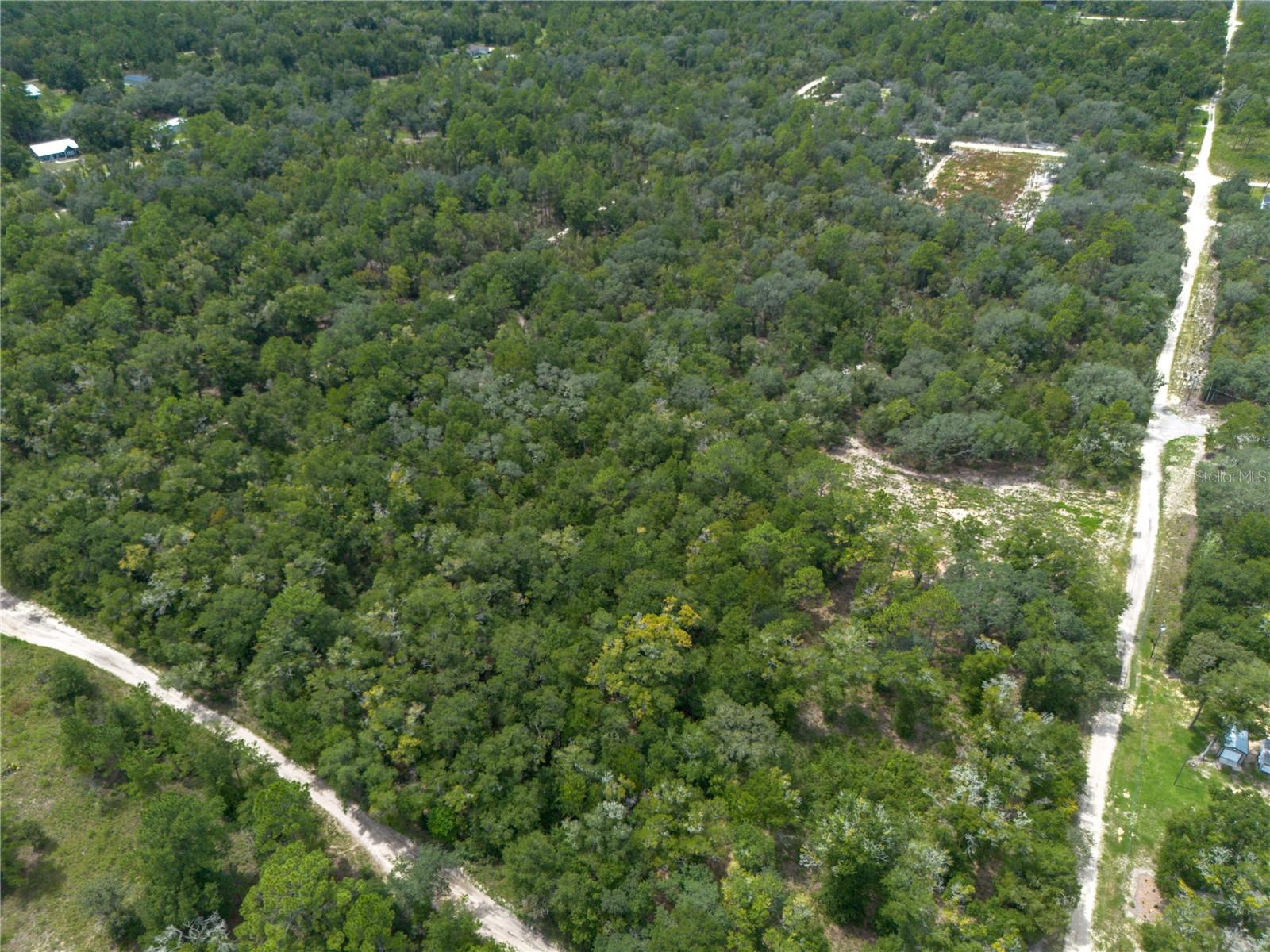 Photo 11 of Land for sale at 0 Ne 81st Street, Bronson, FL 32621 | MLS# GC543292 | Listing updated on 2026-09-05