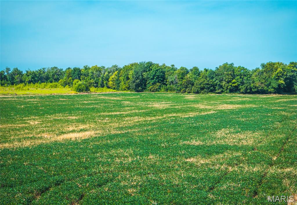 Homes for sale in Huntsville, MO | 1457 Cr1225, Huntsville, MO 65259 | MLS# MIS25033250