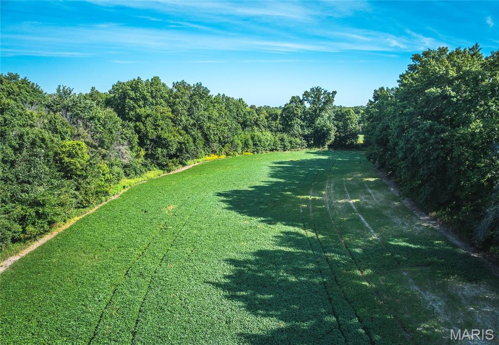 Homes for sale in Huntsville, MO | 1457 Cr1225, Huntsville, MO 65259 | MLS# MIS25033250