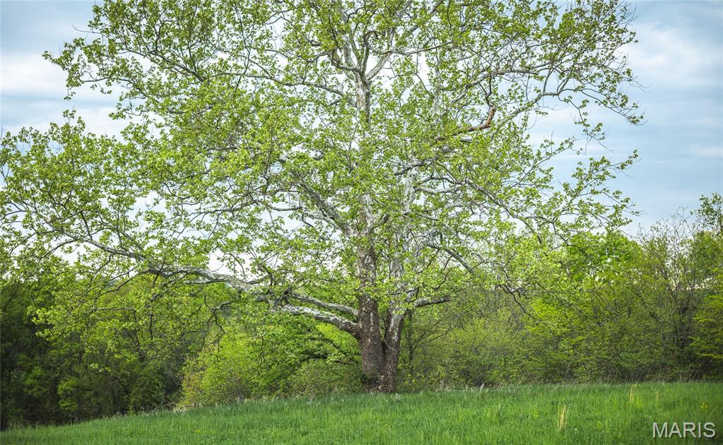 Homes for sale in Huntsville, MO | 1457 Cr1225, Huntsville, MO 65259 | MLS# MIS25033250