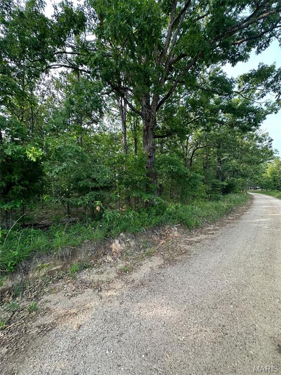 Homes for sale in Van Buren, MO | Tbd County Rd H-311, Van Buren, MO 63638 | MLS# MIS25039483