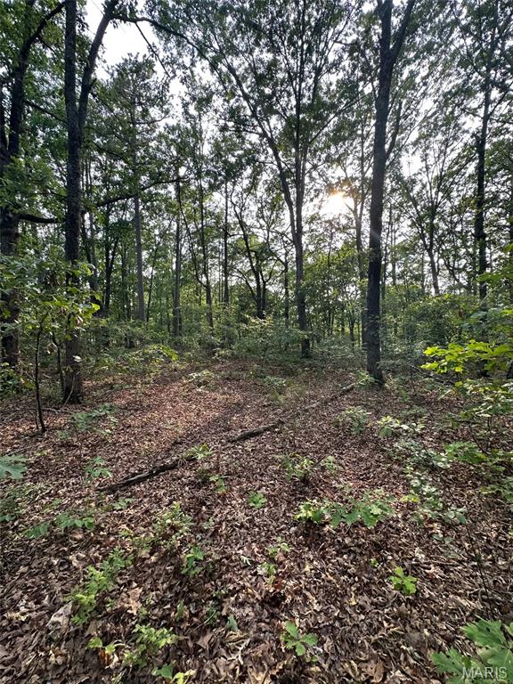 Homes for sale in Van Buren, MO | Tbd County Rd H-311, Van Buren, MO 63638 | MLS# MIS25039483