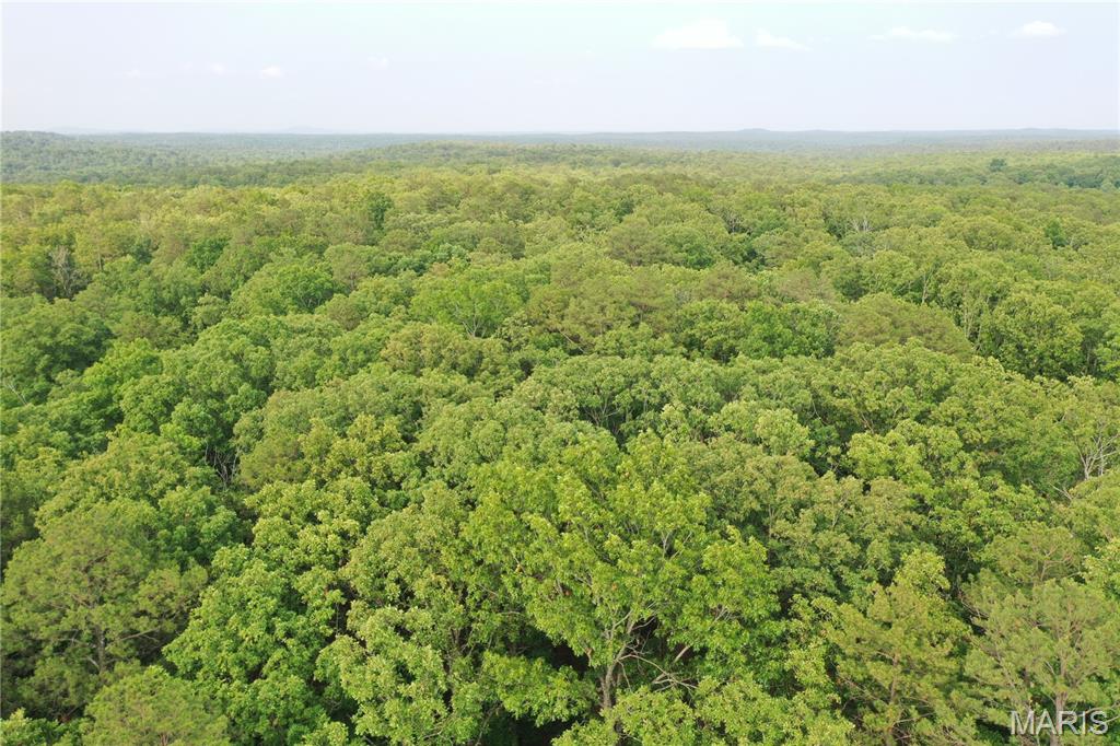 Homes for sale in Van Buren, MO | Tbd County Rd H-311, Van Buren, MO 63638 | MLS# MIS25039483