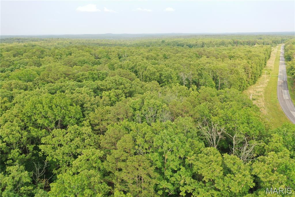 Homes for sale in Van Buren, MO | Tbd County Rd H-311, Van Buren, MO 63638 | MLS# MIS25039483