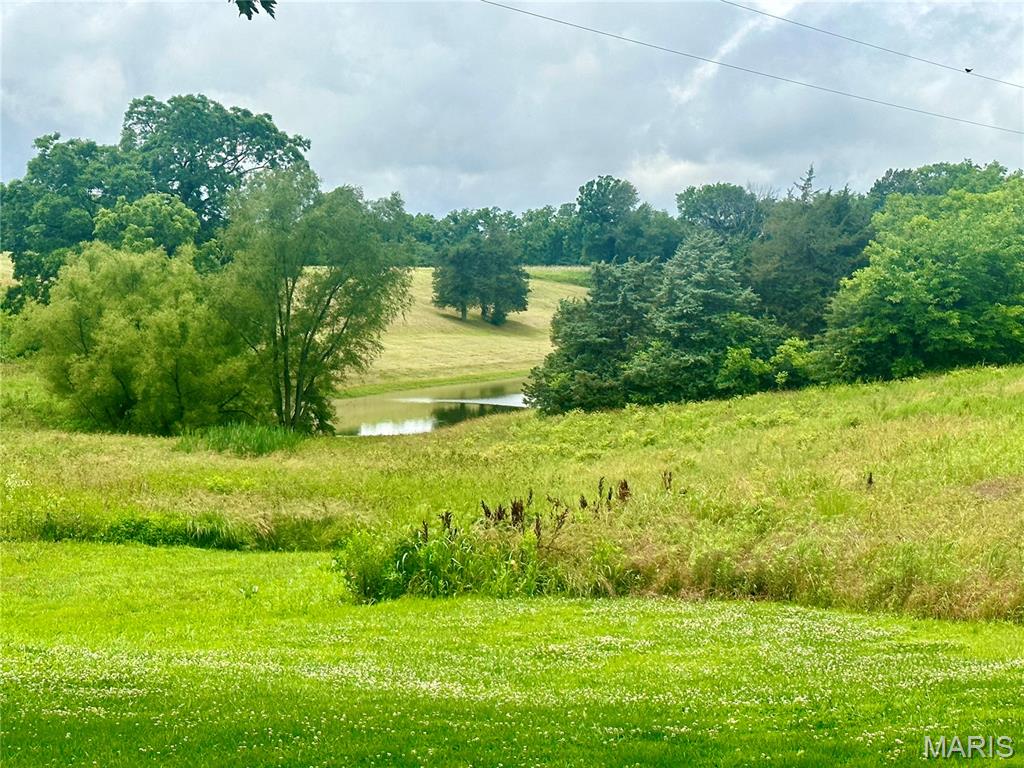 Homes for sale in Chester, IL | 3911 State Route 3, Chester, IL 62233 | MLS# MIS25040737