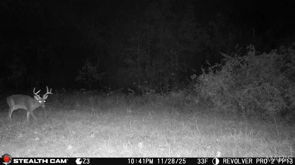 Homes for sale in Pinckneyville, IL | 5238 Woodhaven Rd, Pinckneyville, IL 62274 | MLS# MIS25061228