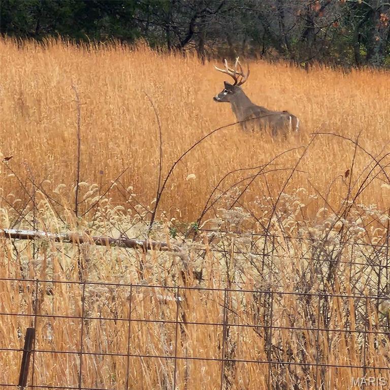 Homes for sale in Cuba, MO | 0 Mo O Rd, Cuba, MO 65453 | MLS# MIS25069405