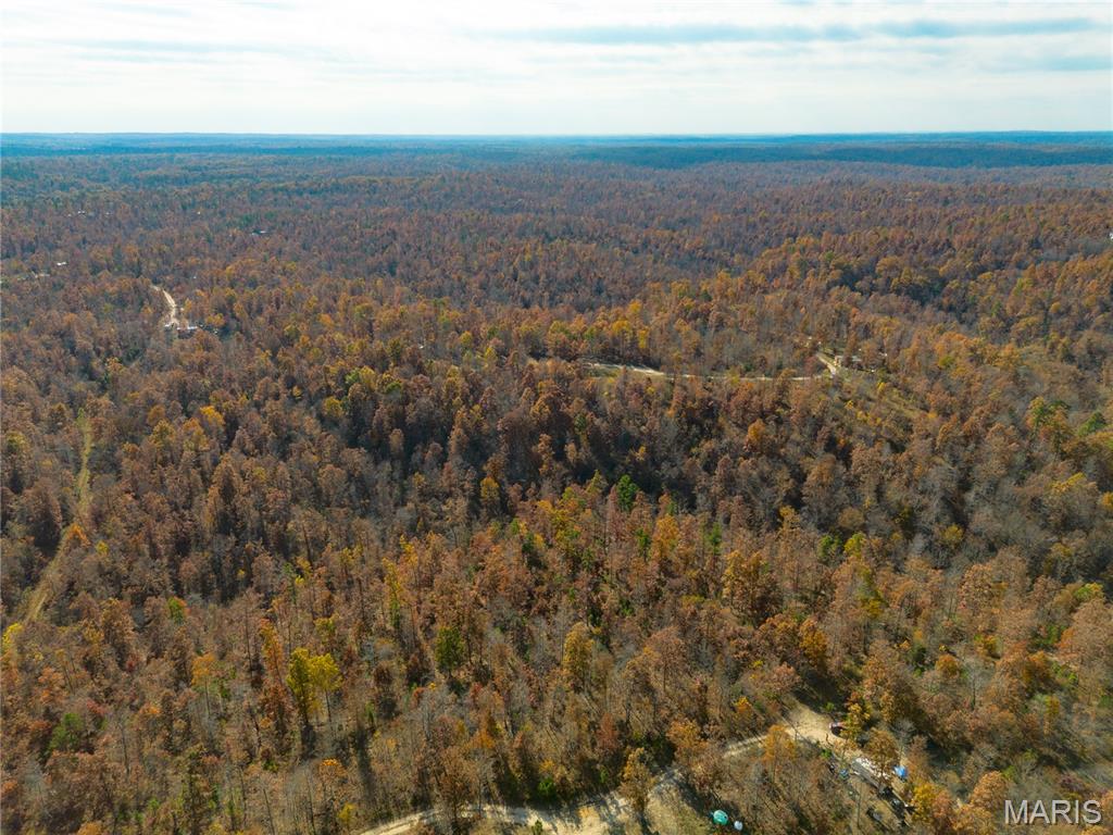 Homes for sale in Birch Tree, MO | 15682 Winding Trail, Birch Tree, MO 65438 | MLS# MIS25071599