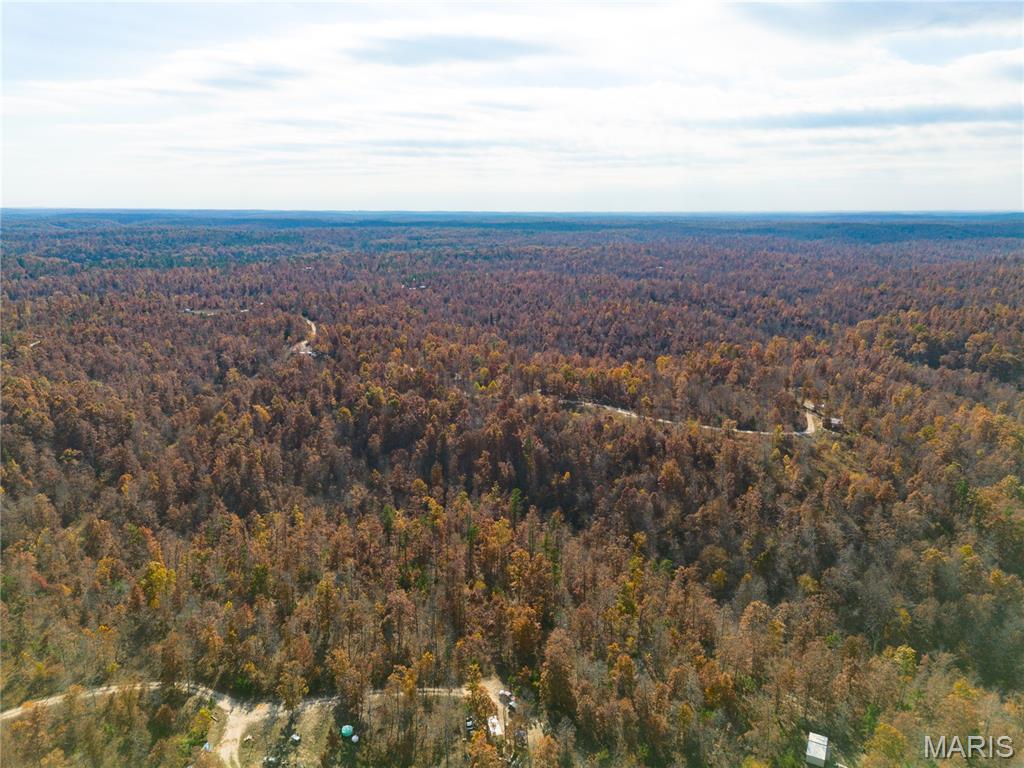 Homes for sale in Birch Tree, MO | 15682 Winding Trail, Birch Tree, MO 65438 | MLS# MIS25071599