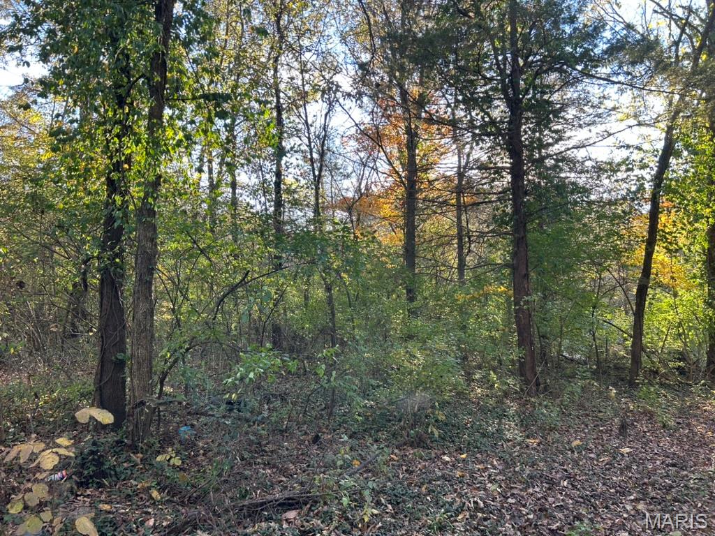 Homes for sale in Gray Summit, MO | 410 Oak Dr, Gray Summit, MO 63039 | MLS# MIS25073797