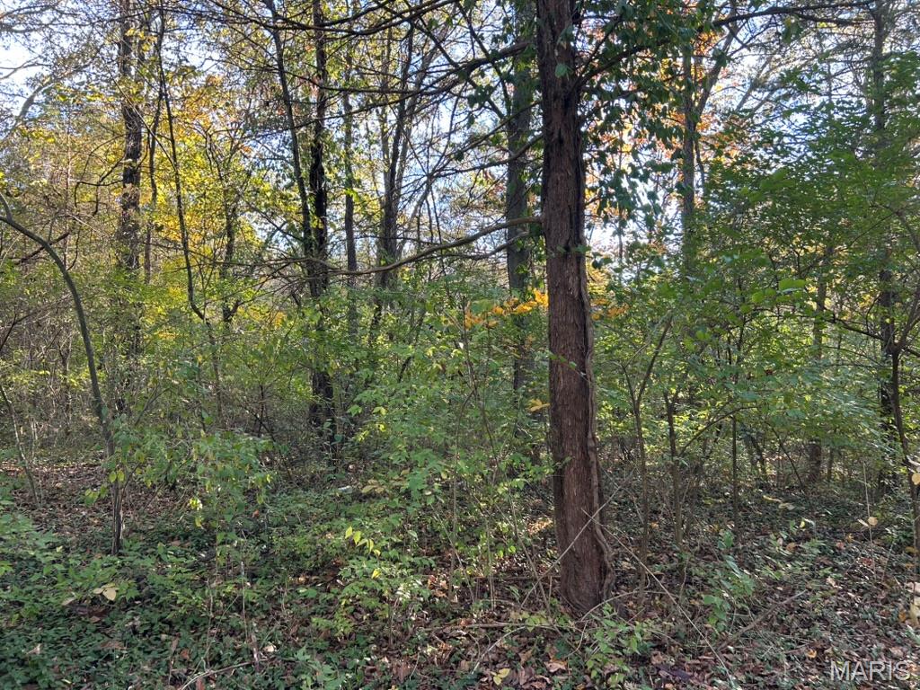 Homes for sale in Gray Summit, MO | 410 Oak Dr, Gray Summit, MO 63039 | MLS# MIS25073797