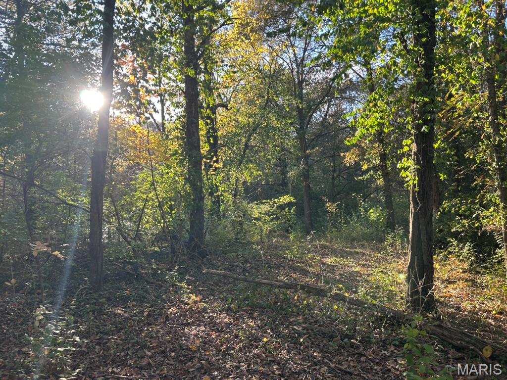 Homes for sale in Gray Summit, MO | 410 Oak Dr, Gray Summit, MO 63039 | MLS# MIS25073797