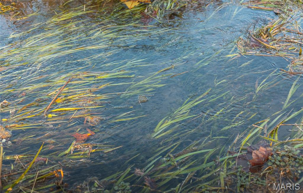 Homes for sale in Bunker, MO | 3385 County Road 5615, Bunker, MO 63629 | MLS# MIS25074040