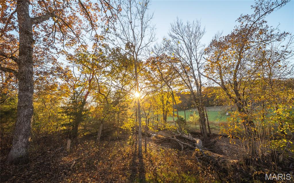 Homes for sale in Graff, MO | 6601 County Line Road, Graff, MO 65660 | MLS# MIS25074822