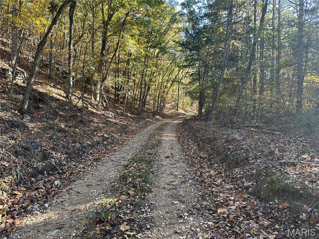 Homes for sale in Belleview, MO | 00 Off County Road 4, Belleview, MO 63623 | MLS# MIS25075275