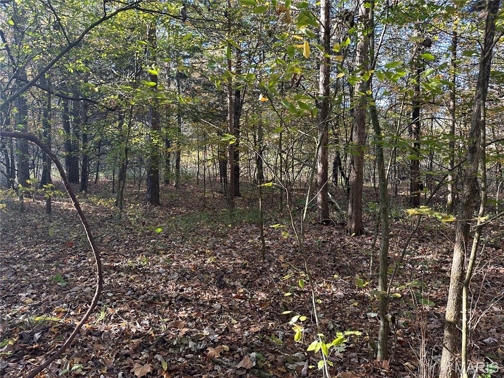 Homes for sale in Belleview, MO | 00 Off County Road 4, Belleview, MO 63623 | MLS# MIS25075275