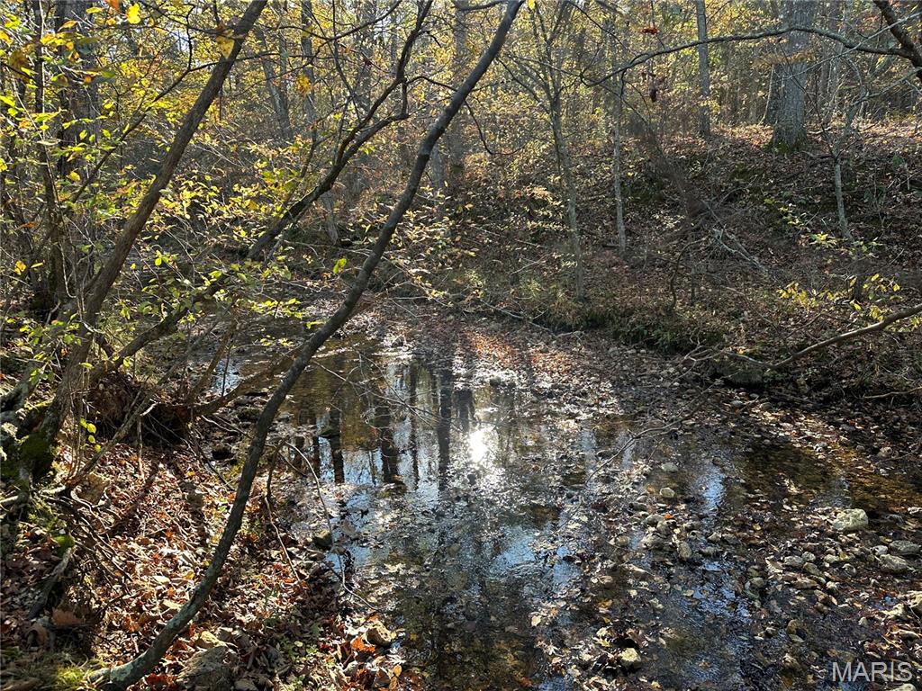 Homes for sale in Belleview, MO | 00 Off County Road 4, Belleview, MO 63623 | MLS# MIS25075275