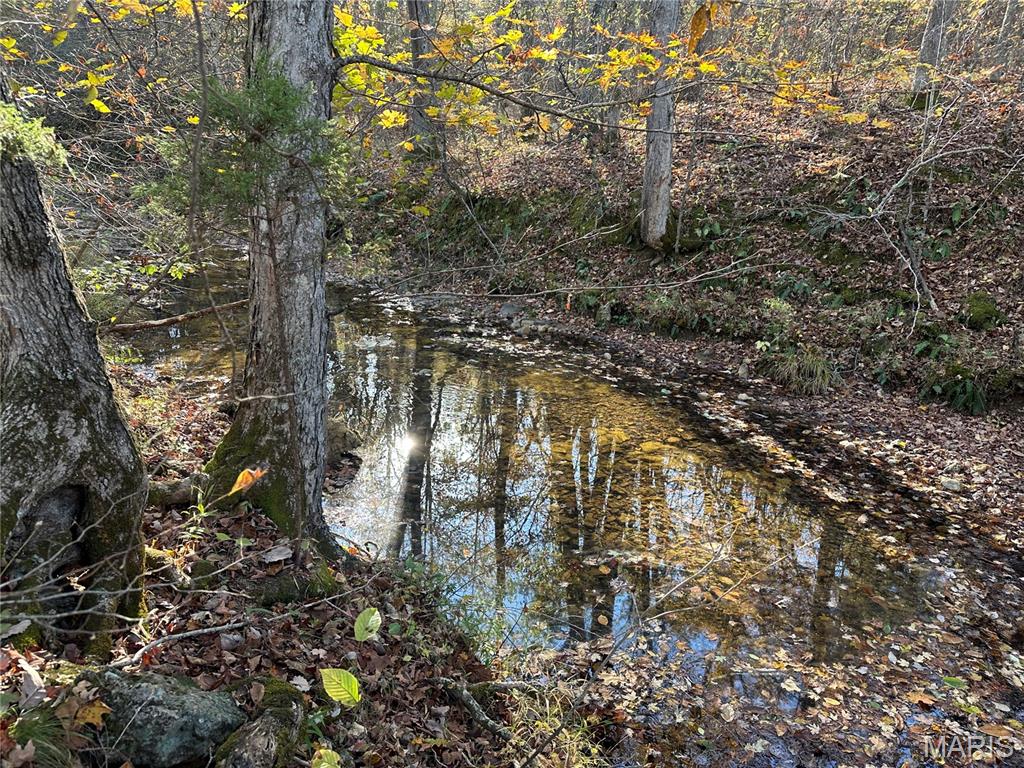 Homes for sale in Belleview, MO | 00 Off County Road 4, Belleview, MO 63623 | MLS# MIS25075275