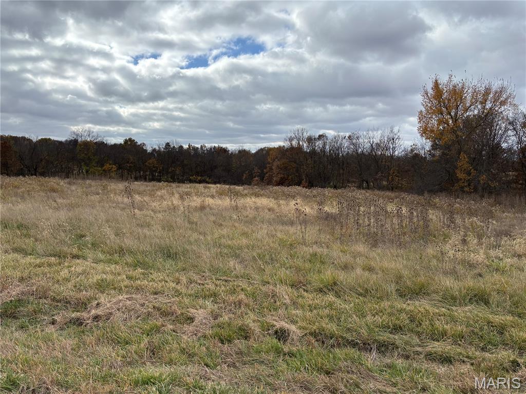 Homes for sale in Frankford, MO | 0 Hwy 61 West Outer Road, Frankford, MO 63441 | MLS# MIS25075454