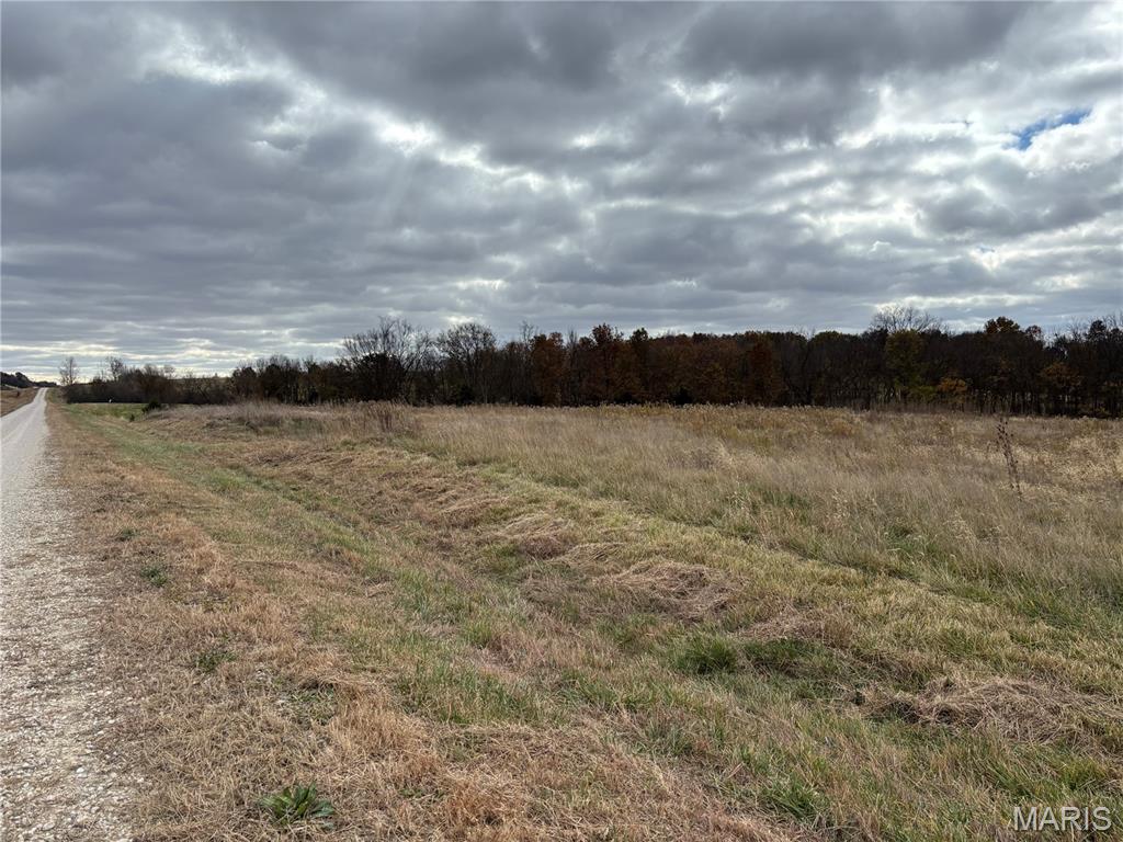 Homes for sale in Frankford, MO | 0 Hwy 61 West Outer Road, Frankford, MO 63441 | MLS# MIS25075454