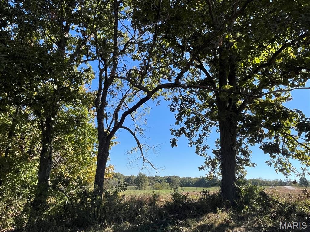 Homes for sale in Elsberry, MO | 32 Autumn Ridge Dr, Elsberry, MO 63343 | MLS# MIS25077251