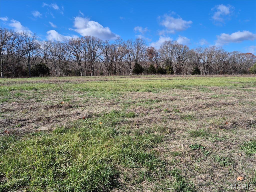Homes for sale in New Florence, MO | 0 Logan School Rd (282+/- Acres), New Florence, MO 63363 | MLS# MIS25079794