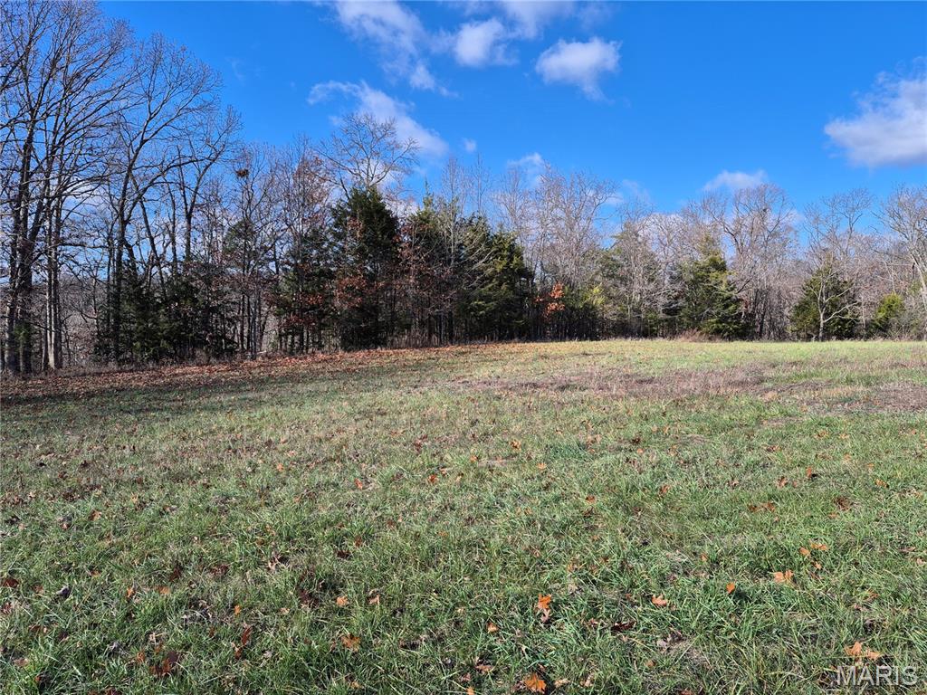 Homes for sale in New Florence, MO | 0 Logan School Rd (282+/- Acres), New Florence, MO 63363 | MLS# MIS25079794