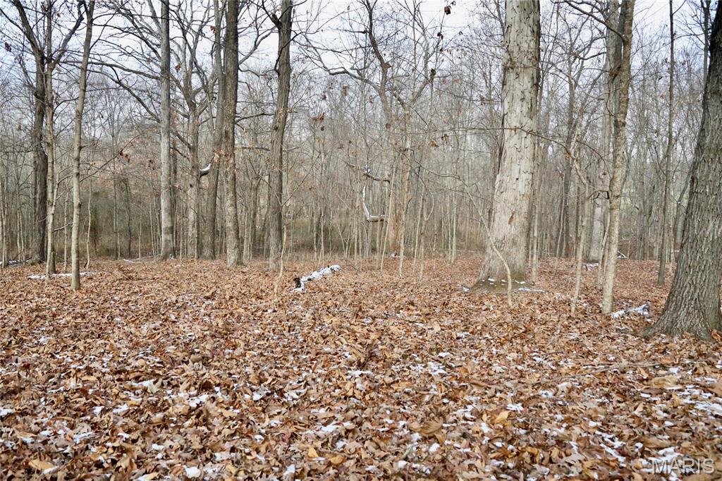 Homes for sale in Mount Vernon, IL | 00 North Maysville Lane, Mount Vernon, IL 62864 | MLS# MIS25079821