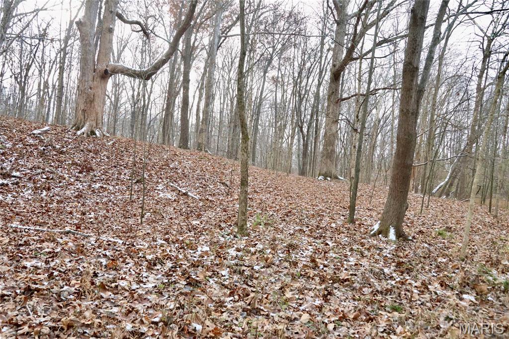 Homes for sale in Mount Vernon, IL | 00 North Maysville Lane, Mount Vernon, IL 62864 | MLS# MIS25079821