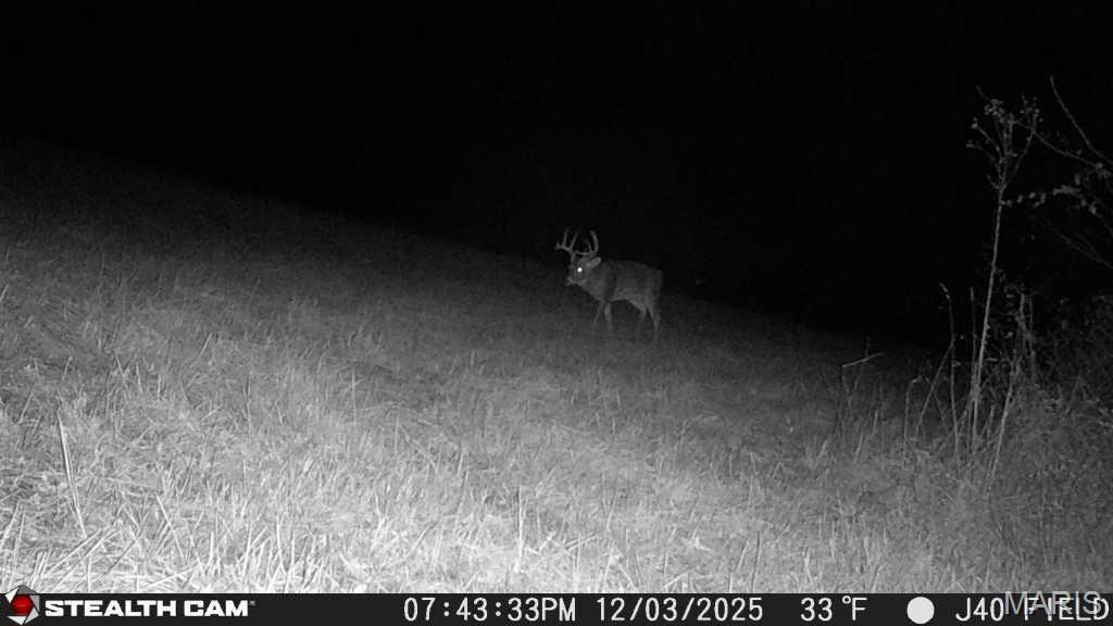 Homes for sale in Mount Vernon, IL | 00 North Maysville Lane, Mount Vernon, IL 62864 | MLS# MIS25079821