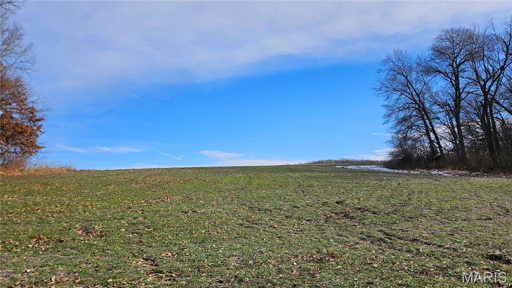 Homes for sale in Louisiana, MO | 86 Acres Pike 277, Louisiana, MO 63353 | MLS# MIS25081420