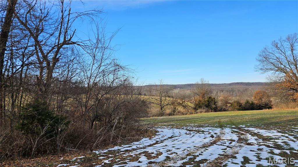 Homes for sale in Louisiana, MO | 86 Acres Pike 277, Louisiana, MO 63353 | MLS# MIS25081420