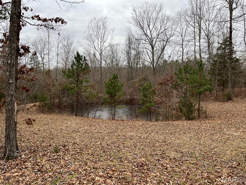 Homes for sale in Piedmont, MO | 0 Wayne 443, Piedmont, MO 63957 | MLS# MIS25081465