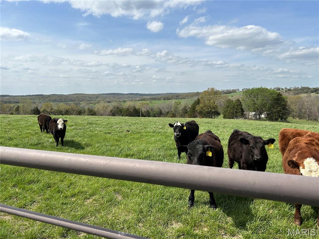 Homes for sale in Rolla, MO | 16150 County Road 8390, Rolla, MO 65401 | MLS# MIS25082892