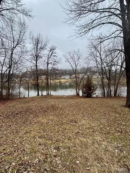 Homes for sale in Fenton, MO | 671 Walnut Rdg, Fenton, MO 63026 | MLS# MIS26000428