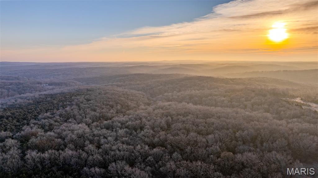 Homes for sale in Blackwell, MO | 0 Hwy Cc, Blackwell, MO 63626 | MLS# MIS26000761