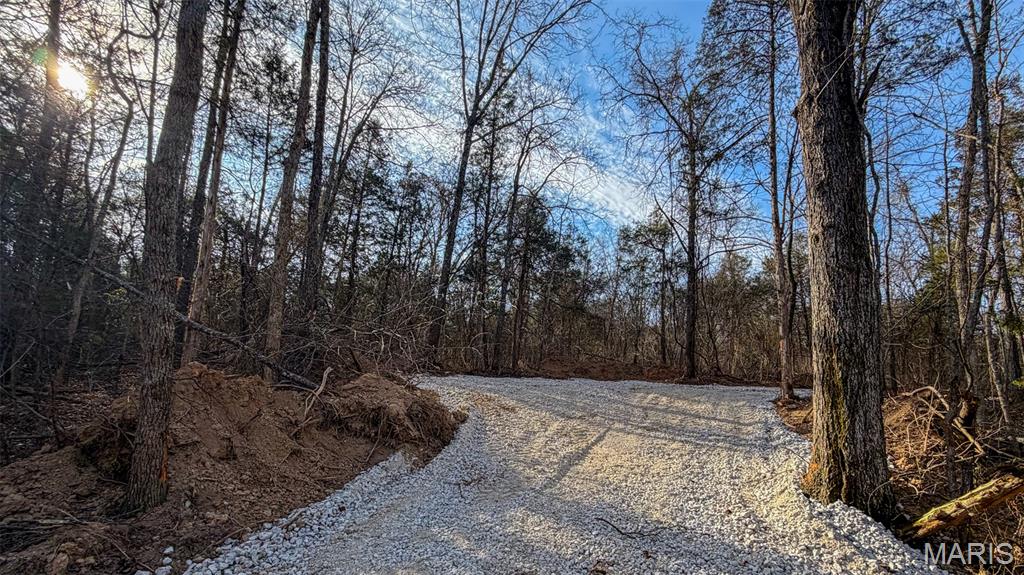 Homes for sale in Blackwell, MO | 0 Hwy Cc, Blackwell, MO 63626 | MLS# MIS26000761