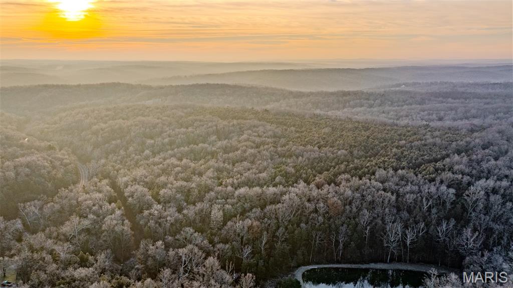 Homes for sale in Blackwell, MO | 0 Hwy Cc, Blackwell, MO 63626 | MLS# MIS26000761