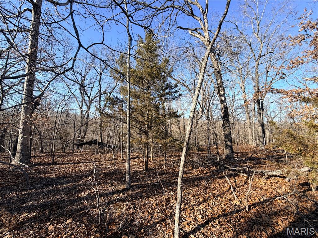 Homes for sale in St Robert, MO | 0 Holly St, St Robert, MO 65584 | MLS# MIS26004121