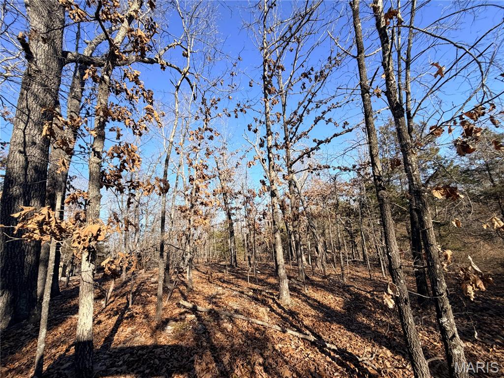 Homes for sale in St Robert, MO | 0 Holly St, St Robert, MO 65584 | MLS# MIS26004121