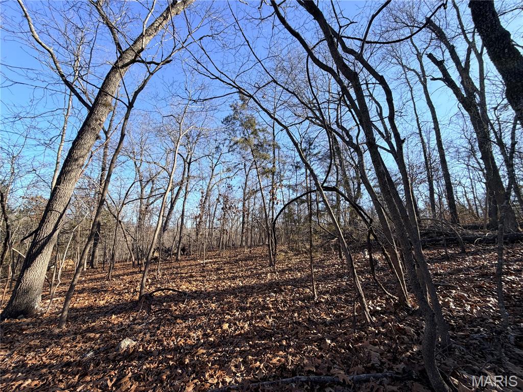 Homes for sale in St Robert, MO | 0 Holly St, St Robert, MO 65584 | MLS# MIS26004121