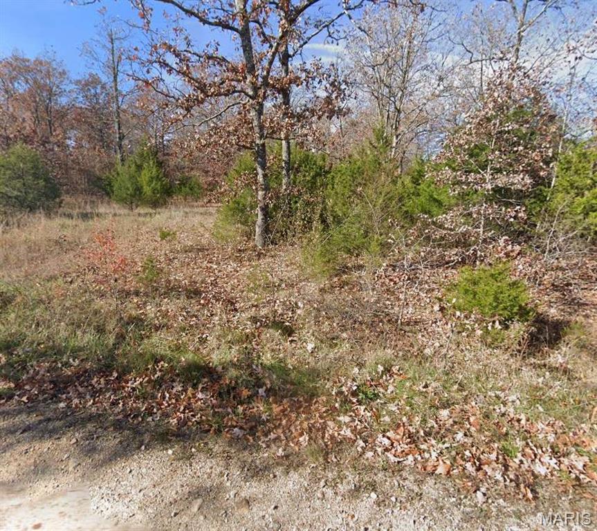 Homes for sale in Plato, MO | 0 Elm Dr, Plato, MO 65552 | MLS# MIS26004948