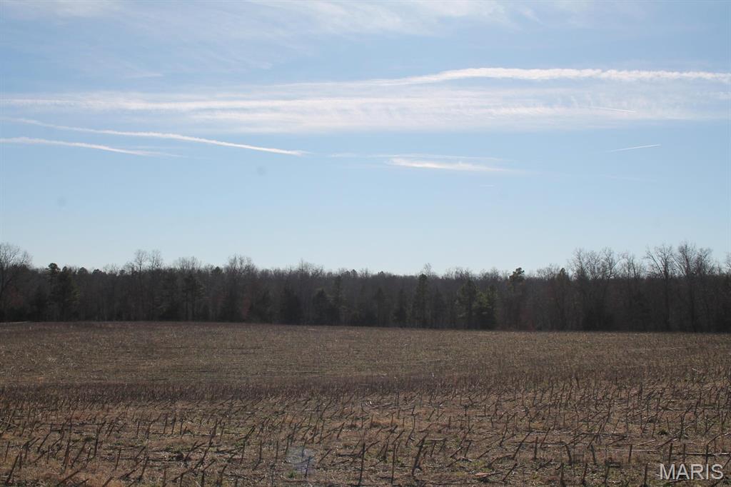 Homes for sale in Bucyrus, MO | 000 M-Lynch Dr, Bucyrus, MO 65444 | MLS# MIS26005024